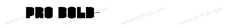 日产Pro Bold字体转换
